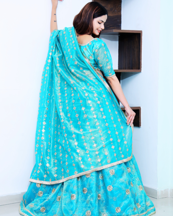 An Azure Blue Embroidery Lehenga Set--Back Look
